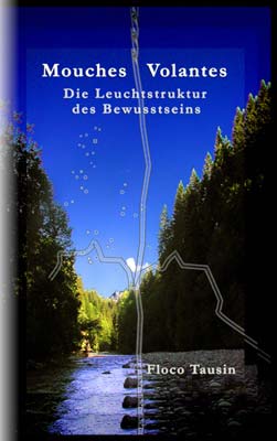 Das Buch der Mystik: "Mouches Volantes - Die Leuchtstruktur des Bewusstseins".